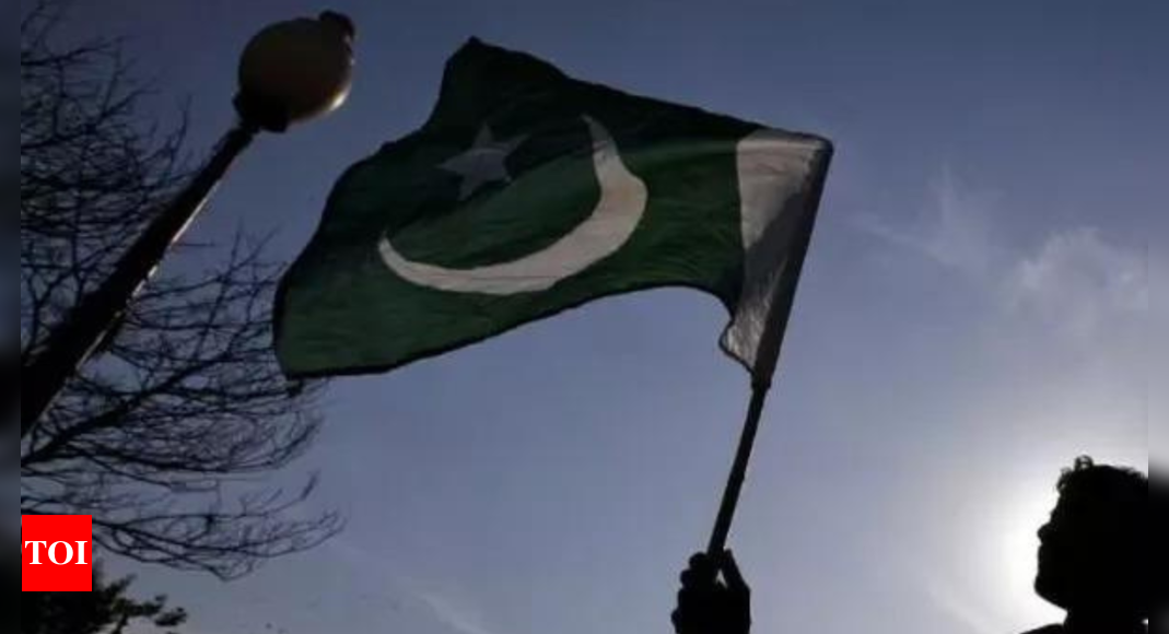 Pakistan: Opposition alliance approaches court to seek permission for rally – Times of India