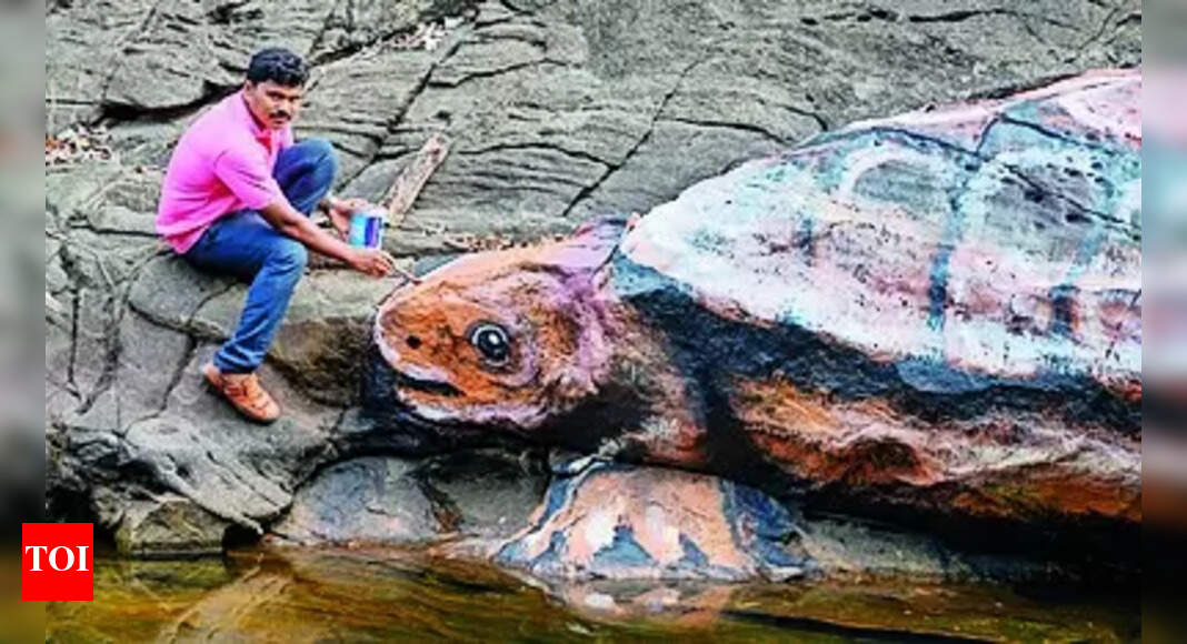 Artist paints rocks near Devaragundi Falls as part of an awareness drive | Mangaluru News - Vimarsana News