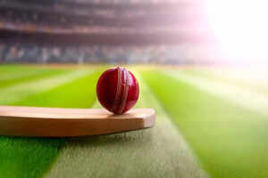 A spotlight on T20 Cricket World Cup host cities in the USA