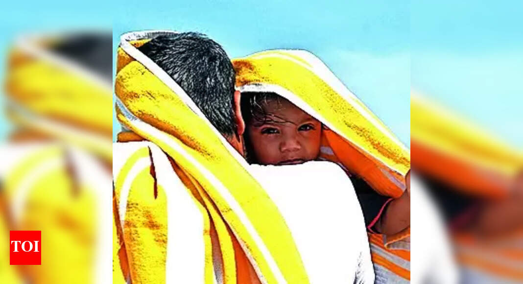 City sizzles as mercury crosses 45C | Allahabad News - Vimarsana News