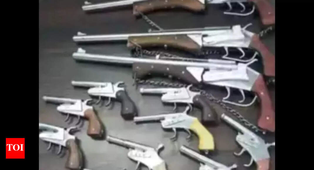 Two persons held for possessing illegal firearms in Kerala | Mangaluru News - Vimarsana News