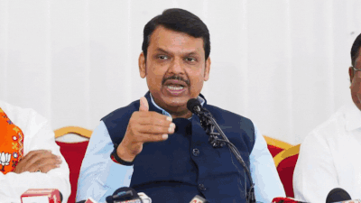 Pune Porsche crash: 15-day punishment for teen shocking, says Devendra Fadnavis