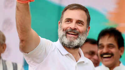 Meet Rahul Gandhi's BFF, Yassa