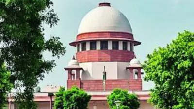 Can job norms be eased for disabled? SC to study