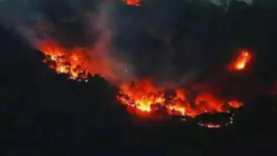 As mercury rises, 597 forest fires in Himachal Pradesh so far