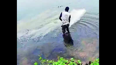 Quicklime Treatment: KMDA starts quicklime treatment at Lake to reduce ...