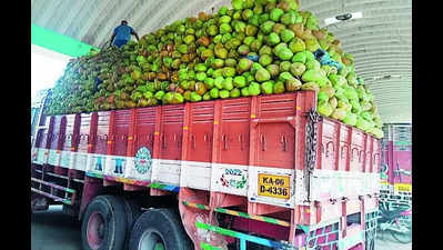 Maddur tender coconut price hits ₹50 per piece