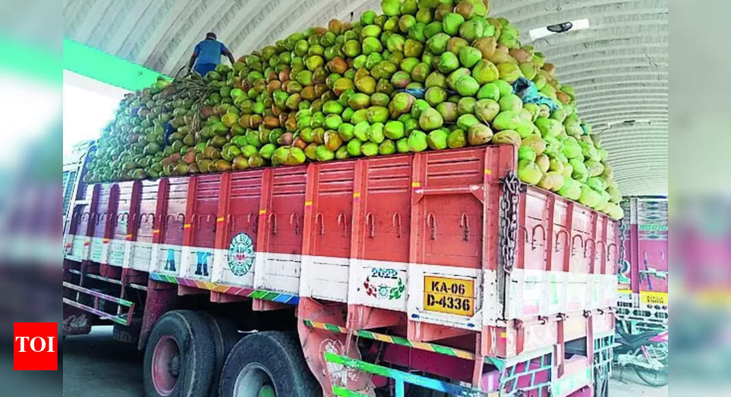 Tender Coconut Price: Maddur tender coconut price hits ₹50 per piece | Mysuru News - Vimarsana News
