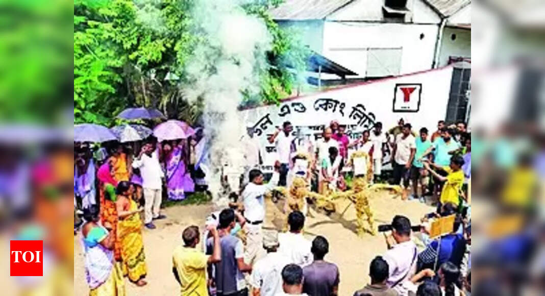 Tea Workers Protest: Dibrugarh tea workers protest pending wages, job conditions | Guwahati News - Vimarsana News