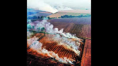 Stubble burning rampant, officials blame poll duty