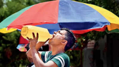 Heatwave to continue in Delhi; IMD issues red alert till Saturday