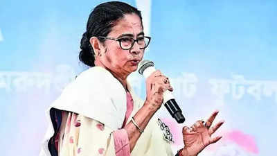Mamata Banerjee: I don't need a certificate from BJP to prove I am a Hindu