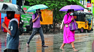 More rain for Chennai on cards; and then dog days resume