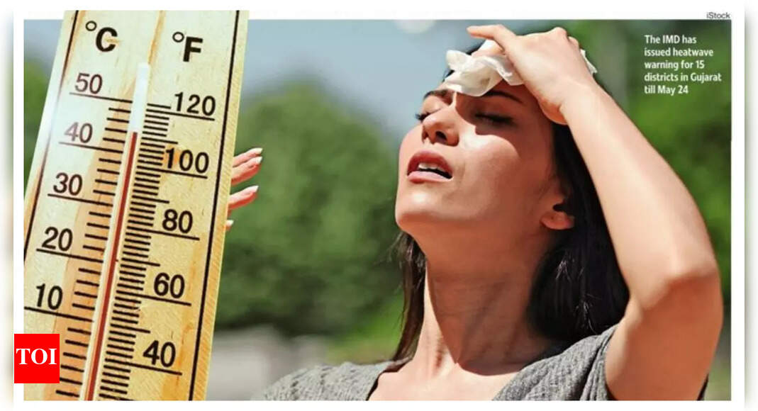 #RedAlert in Ahmedabad: Stay indoors & be careful about diet, say experts - Vimarsana News
