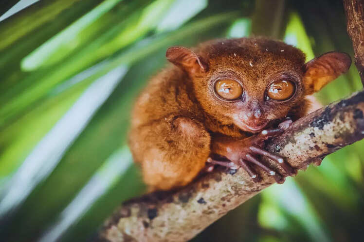 Philippines