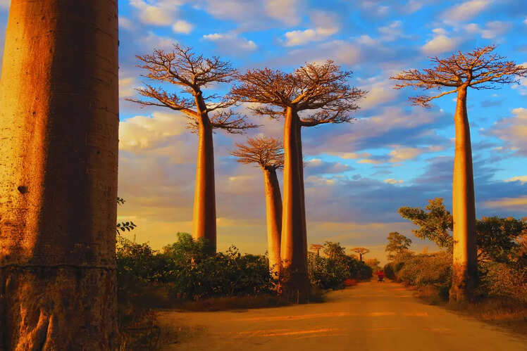 Madagascar