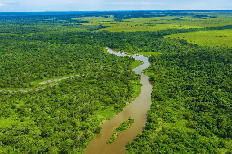 Congo Basin, Central Africa