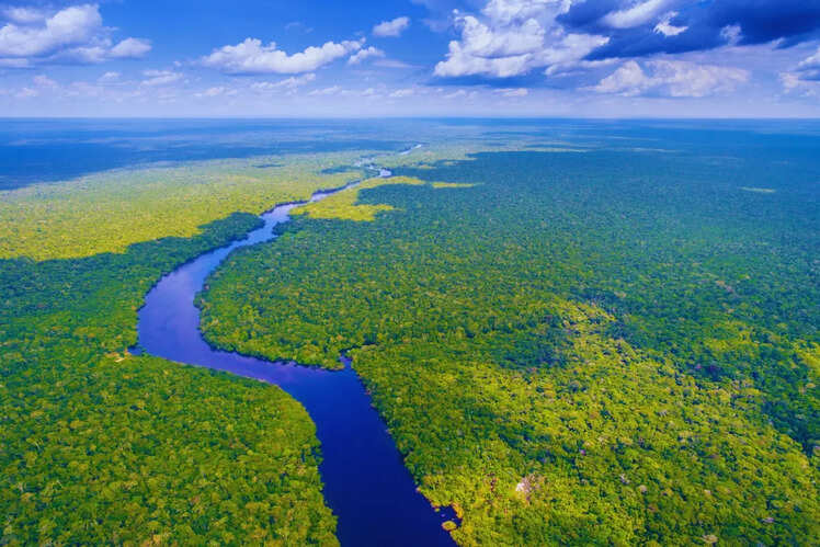 Amazon Rainforest, South America