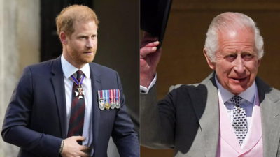 'Prince Harry declines meeting with King Charles over security concerns'