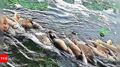 Mass fish death in Periyar river sparks protests in Kochi