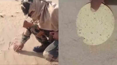 Watch: BSF jawan roasts papad on sand in Bikaner as temperature soars over 45 degrees Celsius