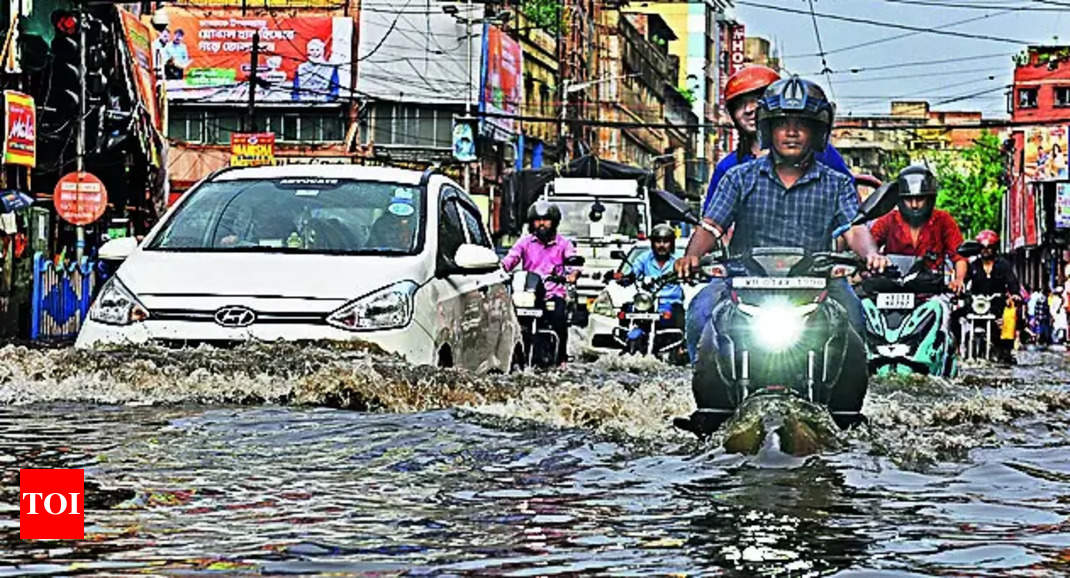 Hour-long afternoon downpour hits traffic, uproots trees, floods metro ...