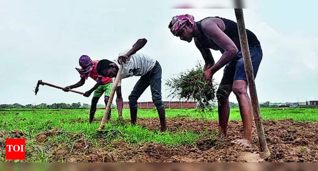 Agrarian Distress: Tracing root cause of agrarian distress | Ranchi News - Vimarsana News
