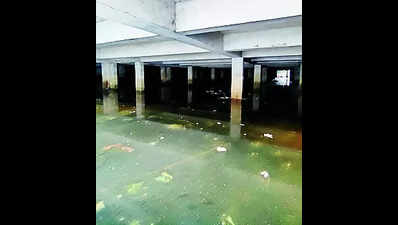 Waterlogging: Waterlogging affecting stability of Kochi corporation ...