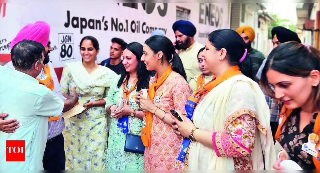 Lok Sabha Elections: Shiromani Akali Dal candidate Ranjit Singh Dhillon's Family Campaigning Together in Ludhiana | Ludhiana News - Vimarsana News