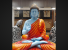 Celebrating Buddha Purnima: Adding peaceful vibes to your home decor