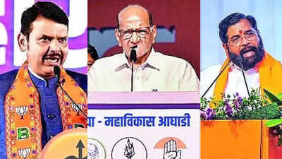 Maharashtra deputy chief minister Devendra Fadnavis tops rally tally at 116