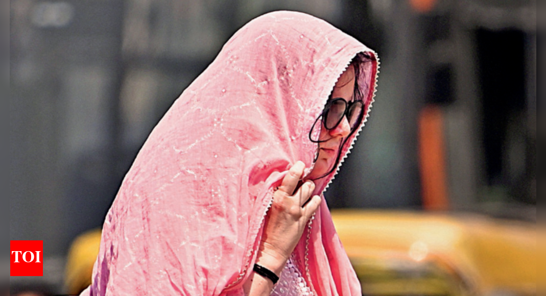 Temperature: Heatwave Hits Delhi with Feels Like 55C Temperature | Delhi News - Vimarsana News