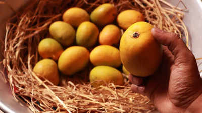How many mangoes to eat daily to stay fit and prevent sugar spike