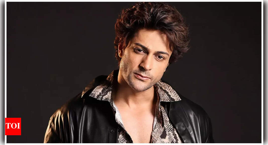 Shalin Bhanot: When Salman Khan and Shah Rukh Khan haven't quit TV, how can I? - Vimarsana News