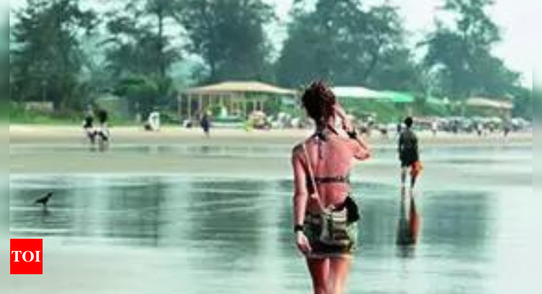 Stray dog attacks on Goa beaches rising: Lifesaving agency