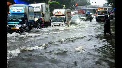 Take it easy, no cyclone warning for Mumbai: IMD