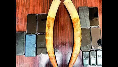 Eleven held from S’garh district with two tusks