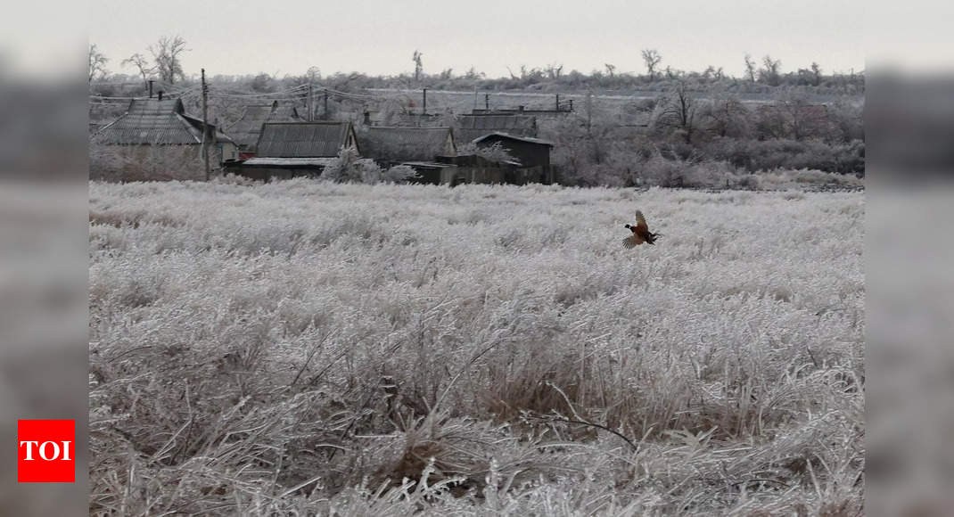 Russian forces take control of Andriivka village in Ukraine’s Donetsk – Times of India