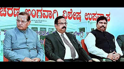 Ambedkar’s Constitution gave Indians their rights: VC