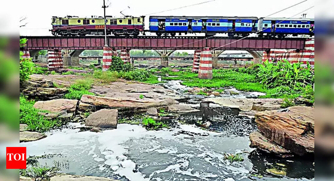 Water Crisis: BJP promises to rejuvenate Subarnarekha river | Ranchi News - Vimarsana News