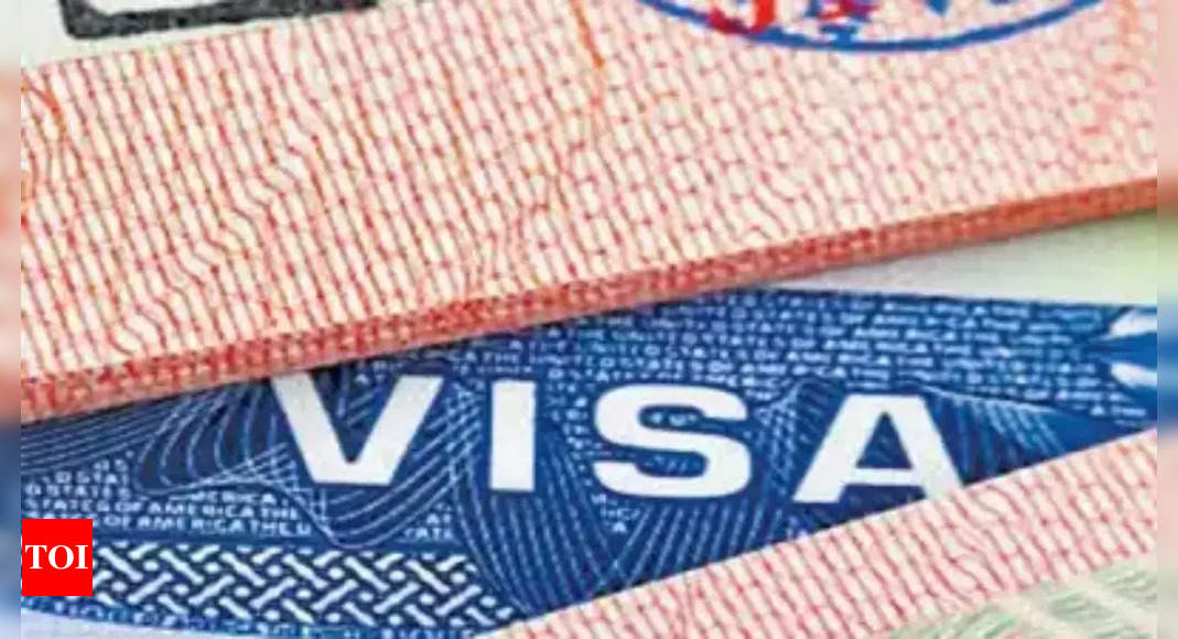 US imposes visa restrictions, reviewing cooperation with Georgia – Times of India