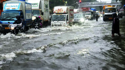 Take it easy, no cyclone warning for Mumbai: IMD