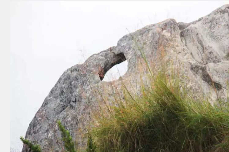 Chauli ki Jali, Mukteshwar