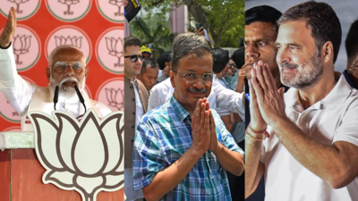 BJP, INDIA bloc in unprecedented direct fight; Delhi all set for Lok Sabha polls on May 25