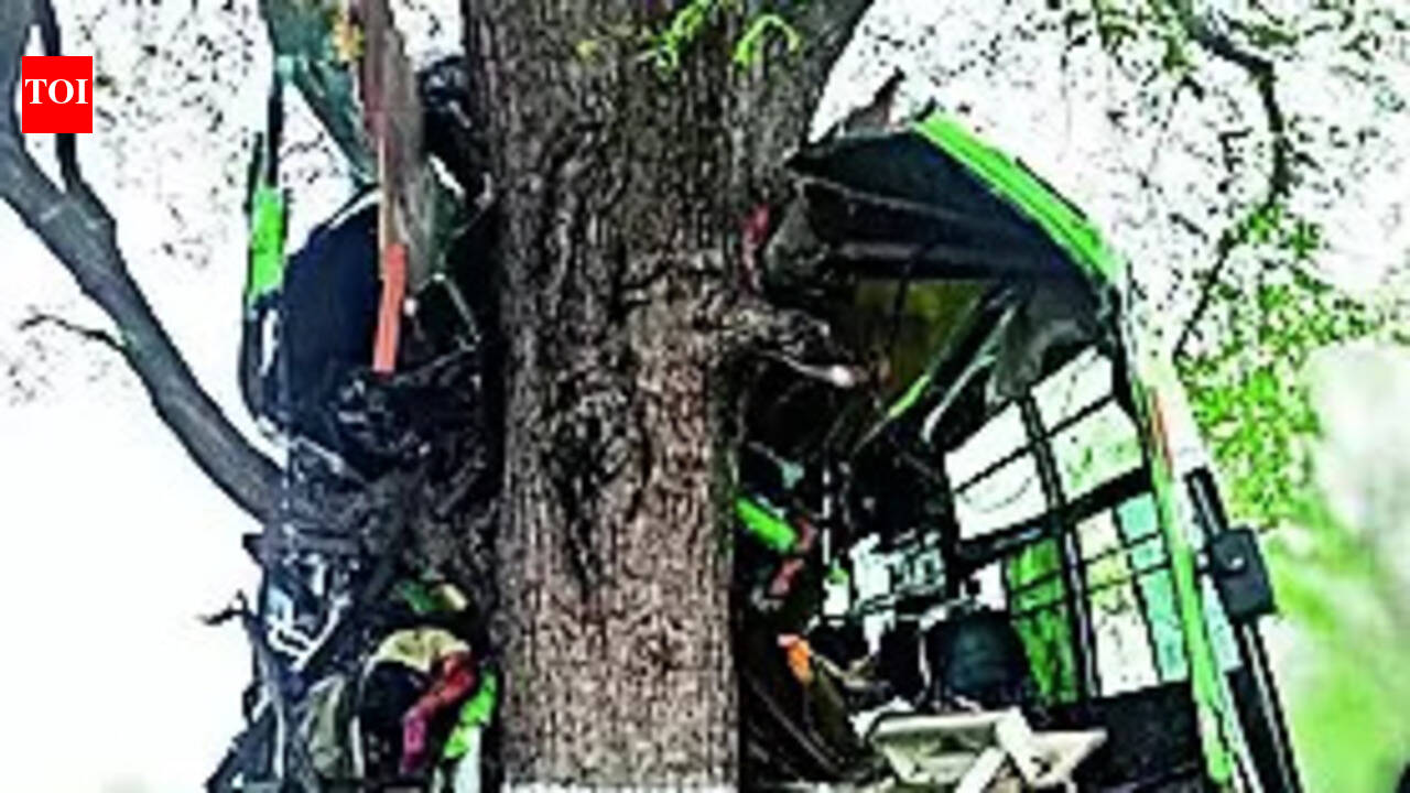 Driver dead, 26 injured as pvt bus rams roadside tree | Trichy News ...