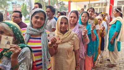 Lok Sabha Elections 2024: SWOT how will Haryana vote this time?
