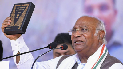 'Vote for unity, justice, important issues,' Mallikarjun Kharge urges voters to vote in record numbers