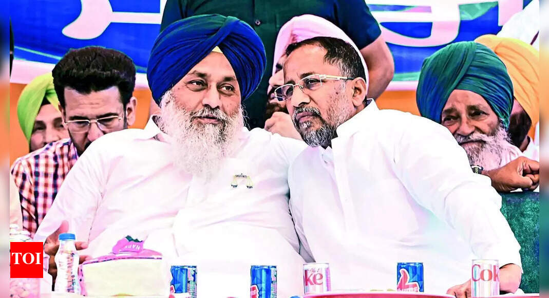 People have a right to ask questions about Amritpal Singh: SAD president Sukhbir Singh Badal | Chandigarh News - Vimarsana News