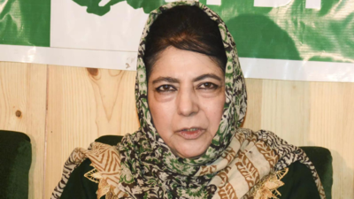 Lok Sabha elections: Anantnag candidate Mufti alleges PDP workers detained, holds protest; police lathicharge crowd