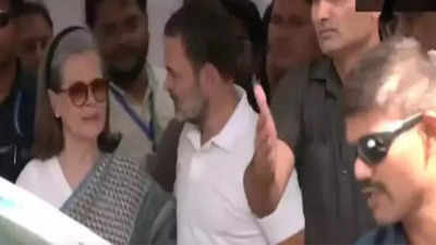 Lok Sabha polls: Congress's Rahul and Sonia Gandhi cast their votes in Delhi